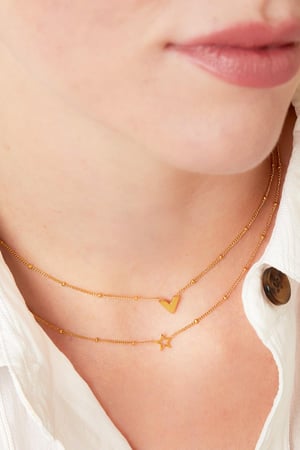 Collana a V in acciaio inossidabile Gold Stainless Steel h5 Immagine2